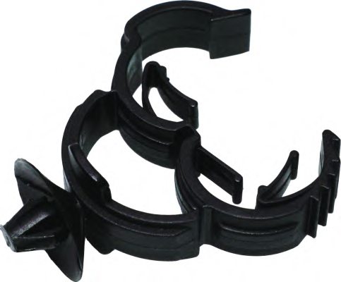 BIRTH 8843 Cover, timing belt